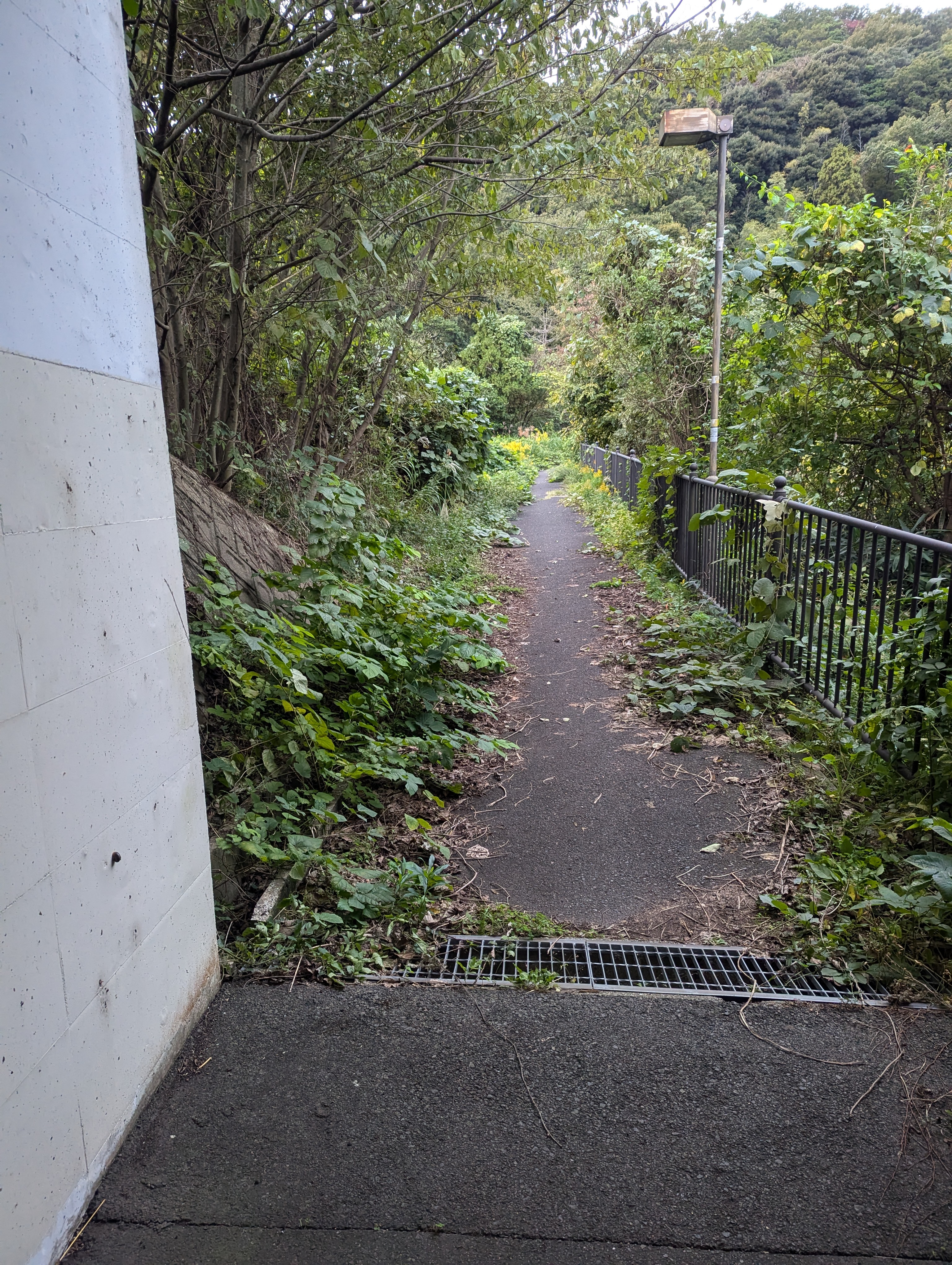 自転車の道中の坂+草